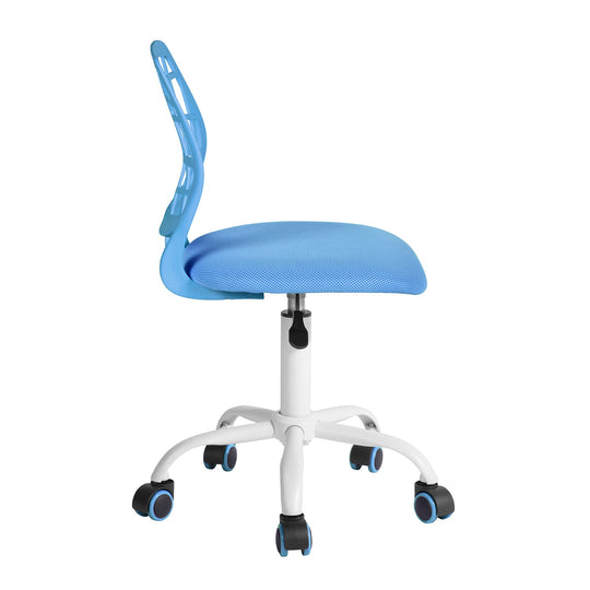 Carnation Stylish Mesh Office Chair with Adjustable Height and Ergonomic Design-HOMY CASA