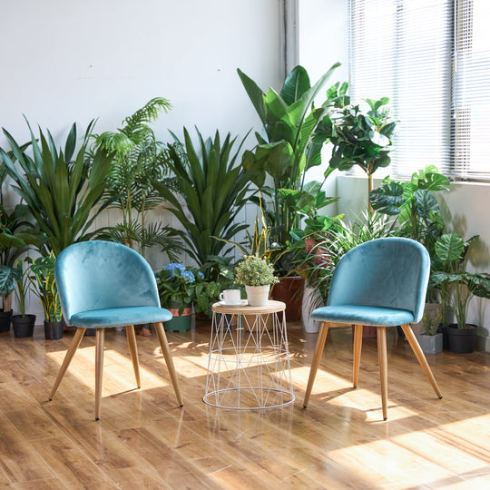 Zomba Dining Chairs, Set of 2, Perfect for Contemporary Spaces-HOMY CASA